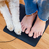 Share The Chair Mat With Your Pet To Ground.Jpg