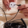 Arthing Coil Cord With Safety Adapter.Png